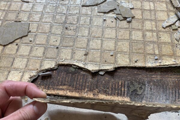 Guidelines For the Use of Encapsulants on Asbestos-Containing Materials