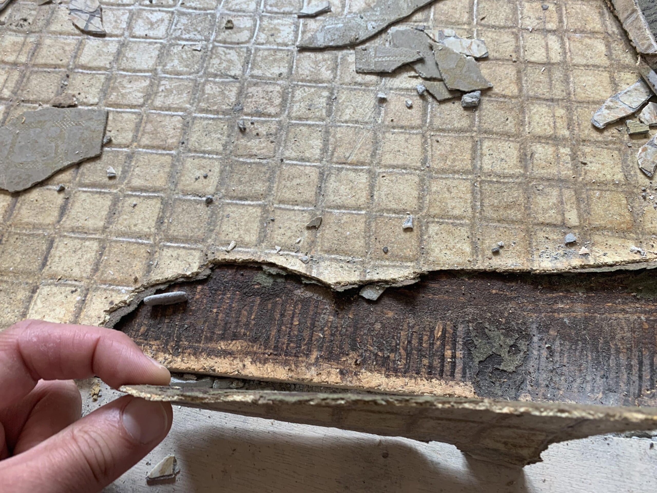 Guidelines For the Use of Encapsulants on Asbestos-Containing Materials