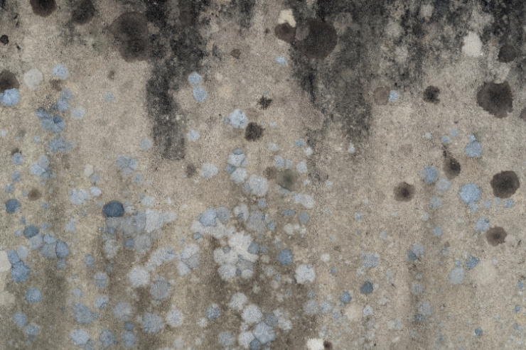 waterproofing membranes